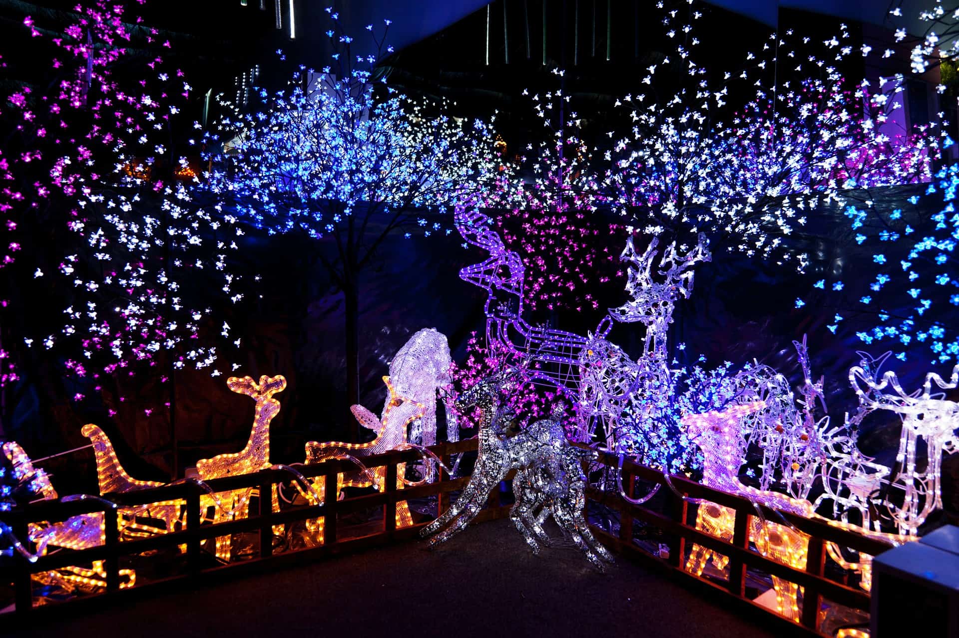 outdoor christmas lights display