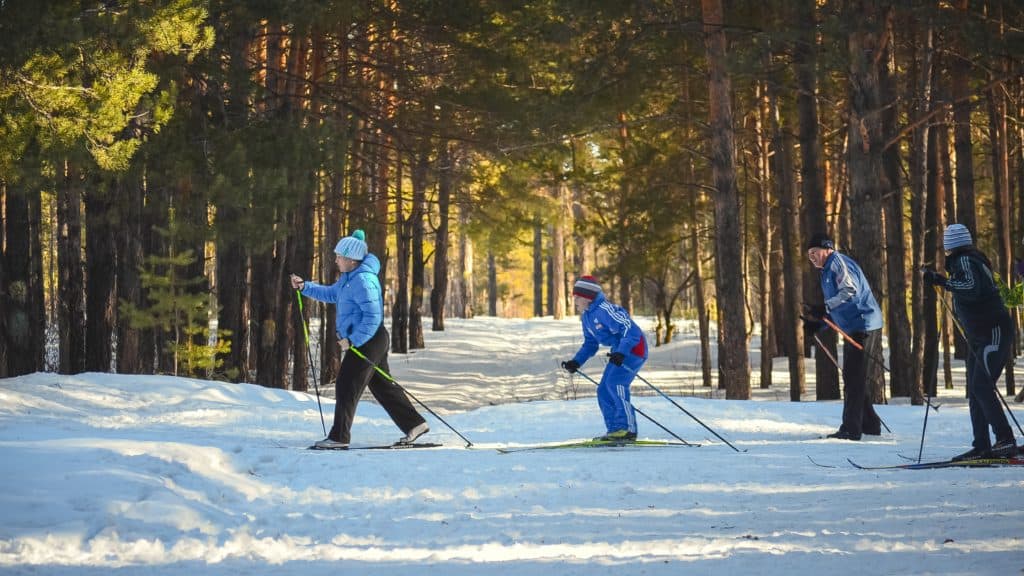 People cross country skiing in the woods
