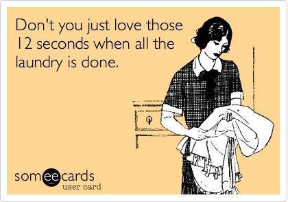some e cards image showing woman in old fashioned dress and the caption "Don't you just love those 12 seconds when all the laundry is done." 