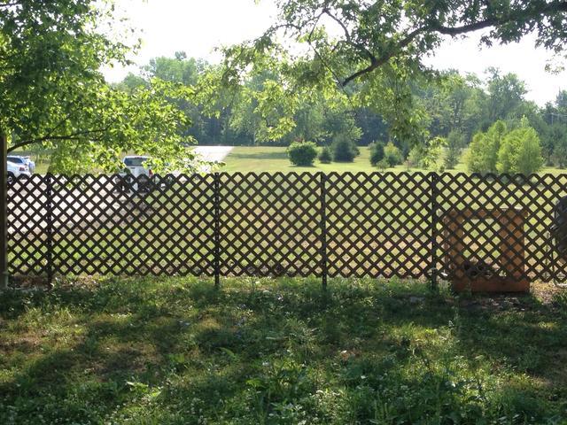 Here is a view of the lattice fence that has no plants on it. You could add another lattice panel on the back, trim this out, and make it look more polished.