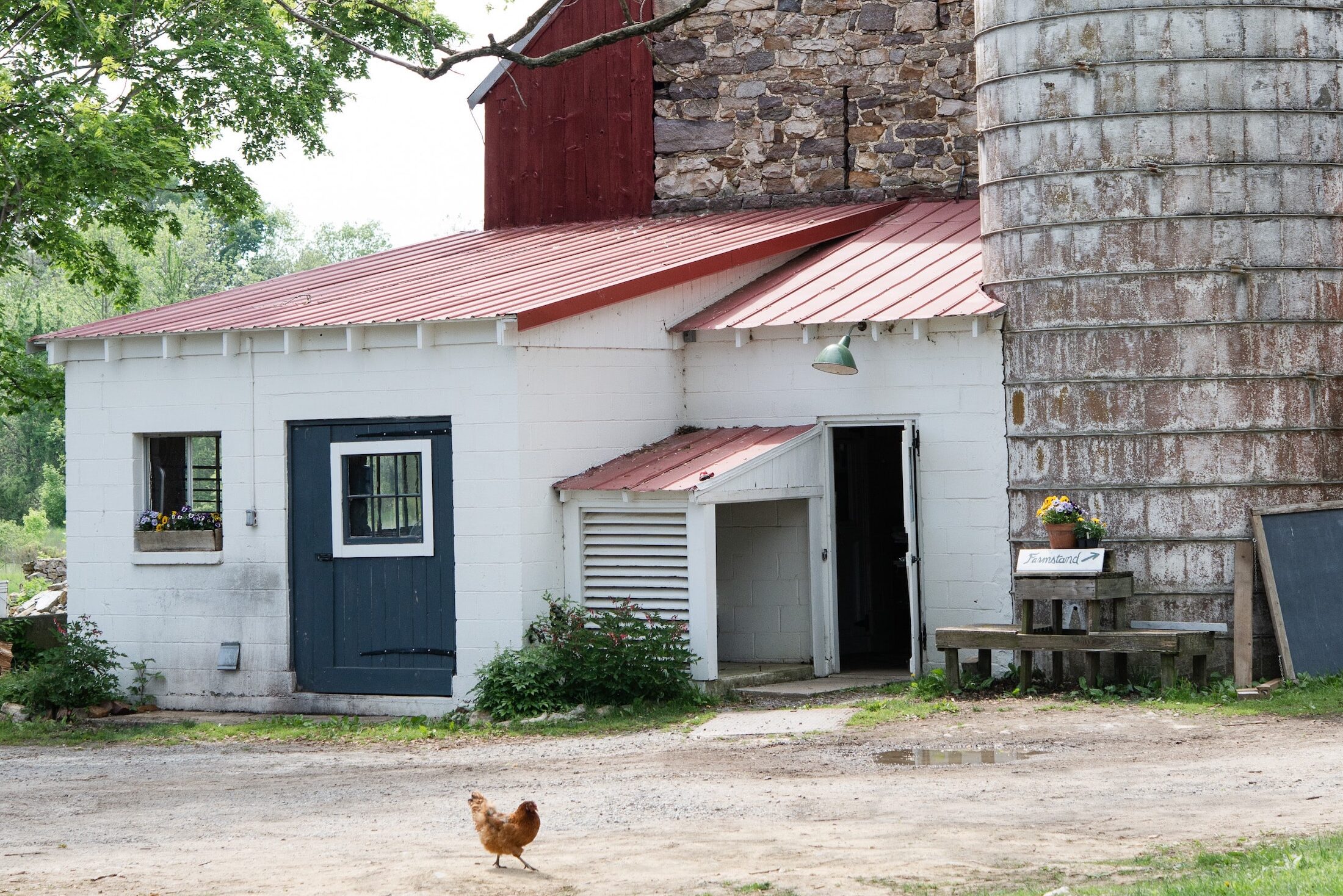 Is Homesteading Right For Me? 12 Questions To Ask Yourself Before You Start